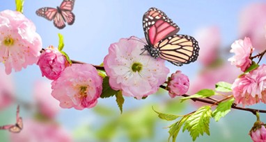 L'Arte a Parte - Primavera